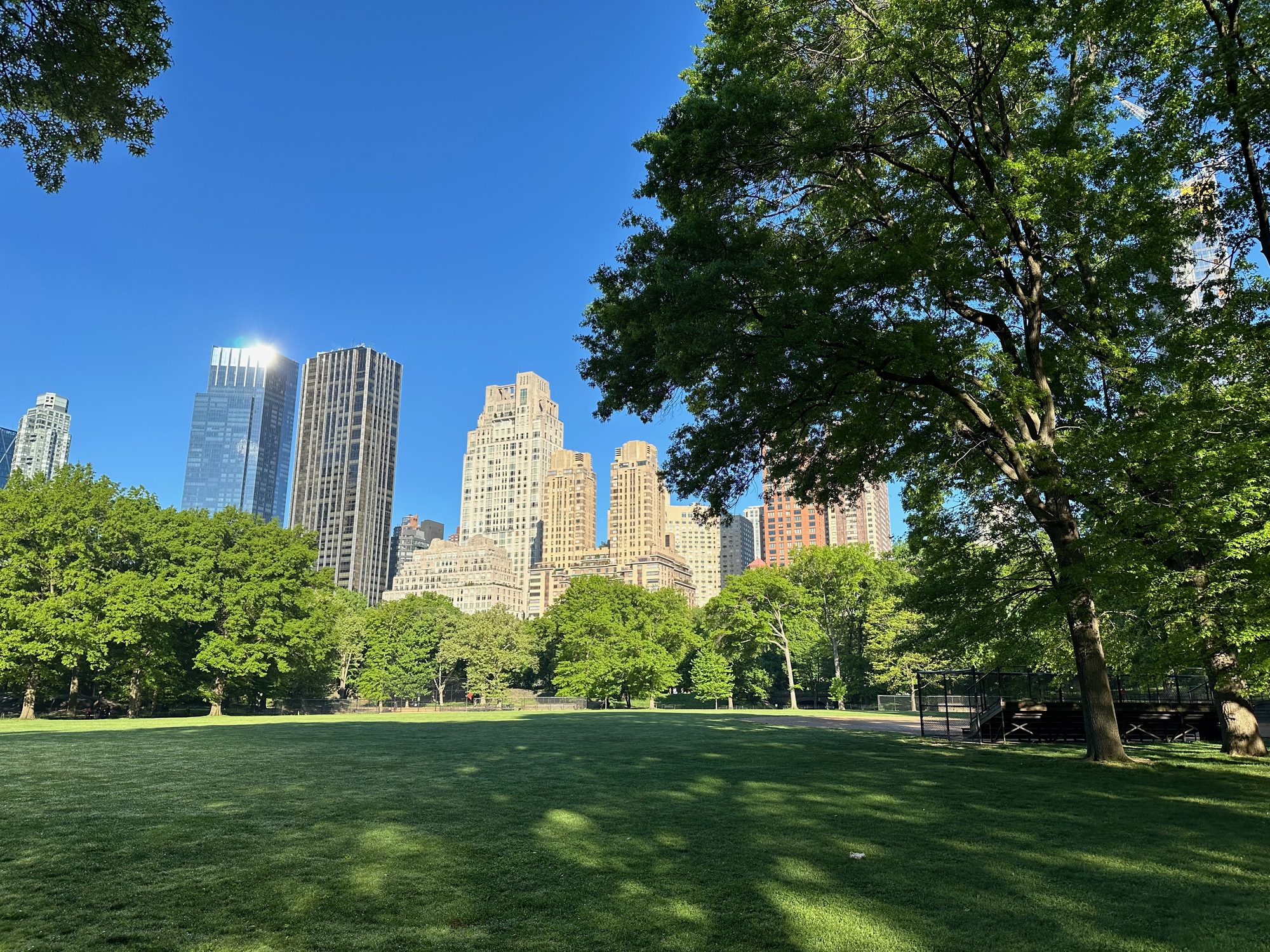 Central Park scene