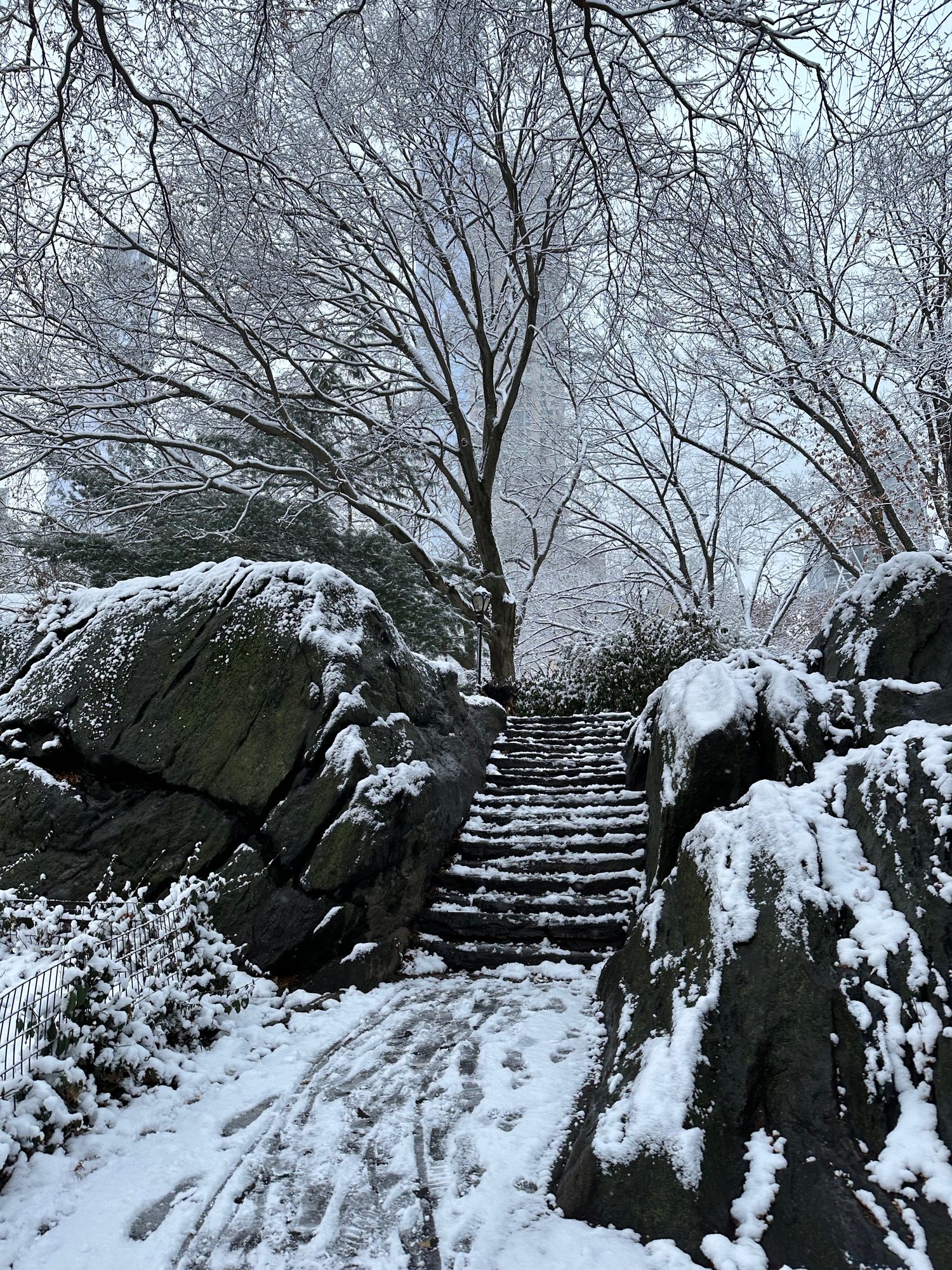 Central Park scene