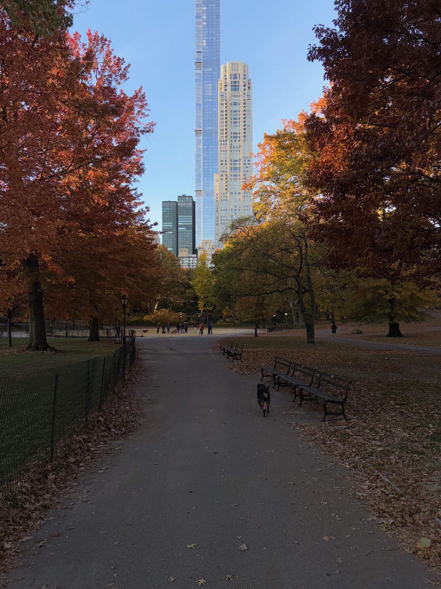 Autumn scene in an urban park with people walking among trees and skyscrapers in the background.
