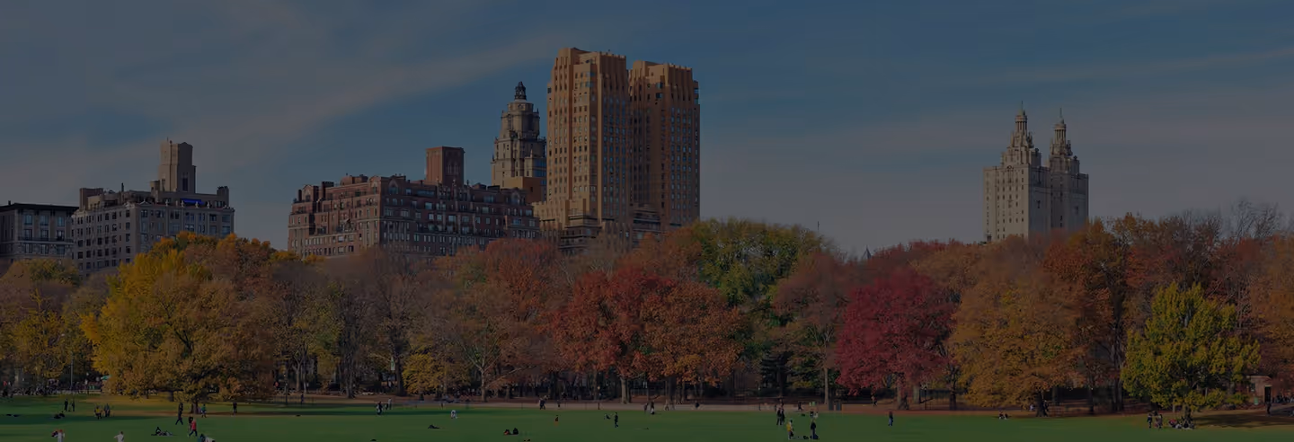 Central Park grassy area with people scattered around and colorful autumn trees with city buildings in the background under a clear sky.