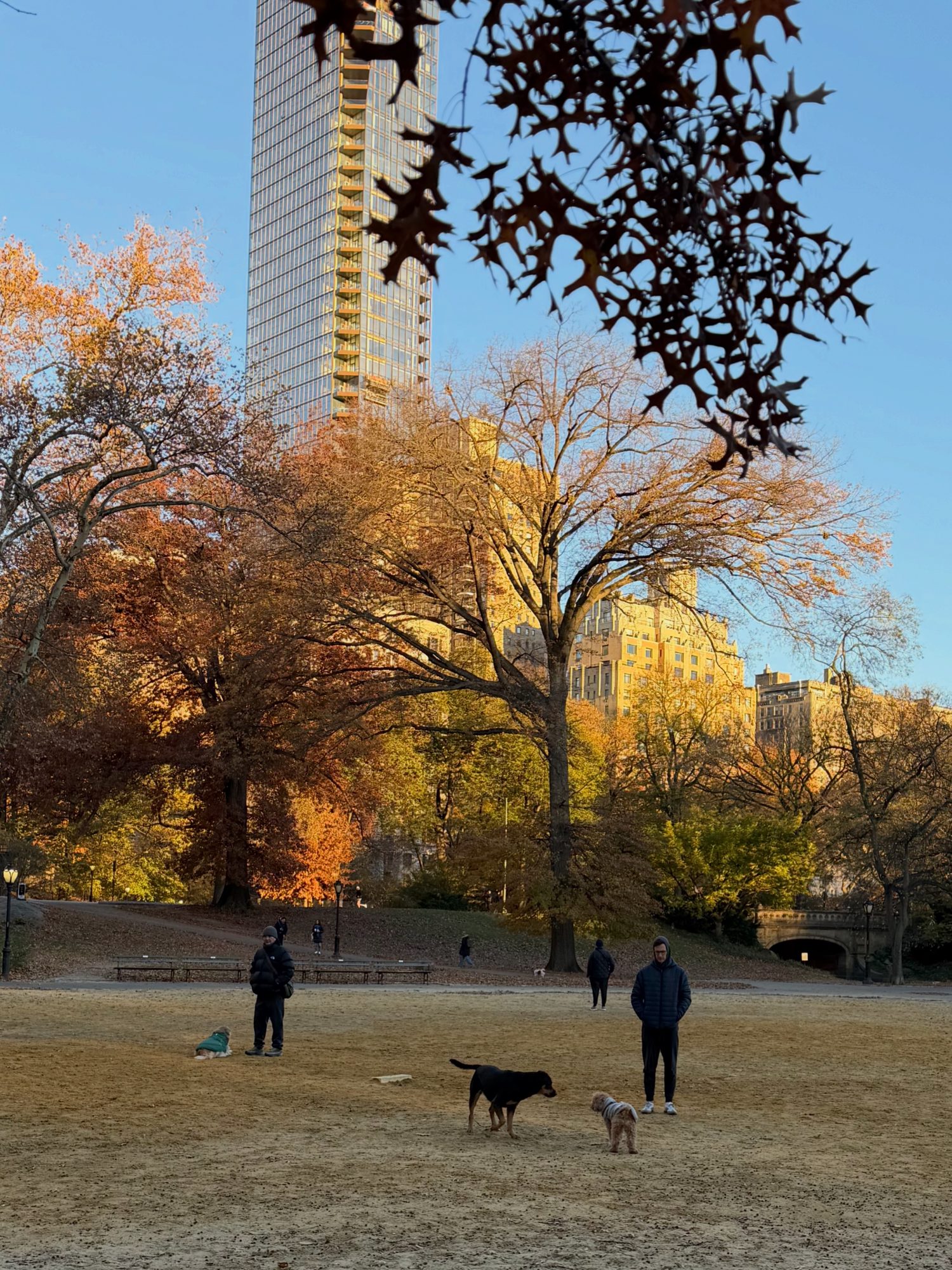 Central Park scene