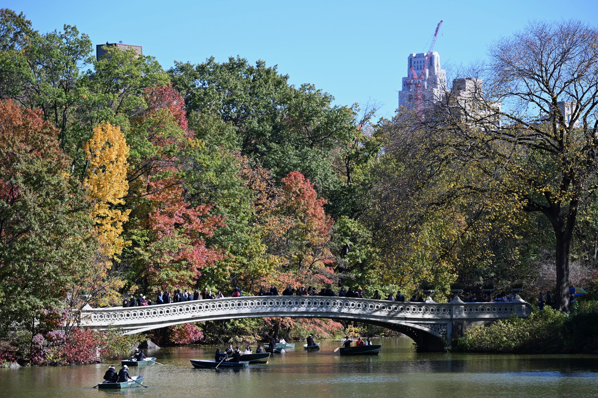 Central Park scene