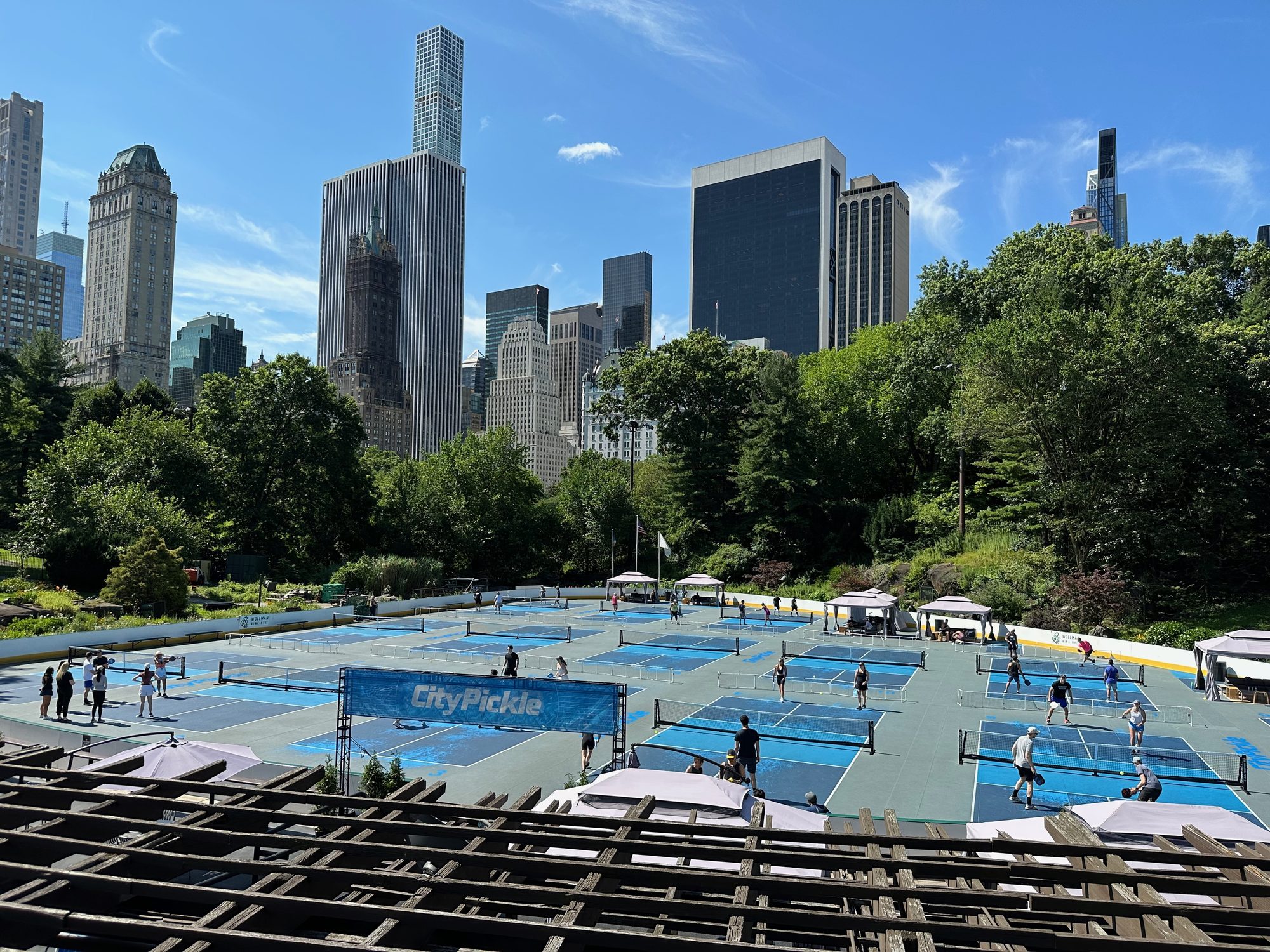 Central Park scene