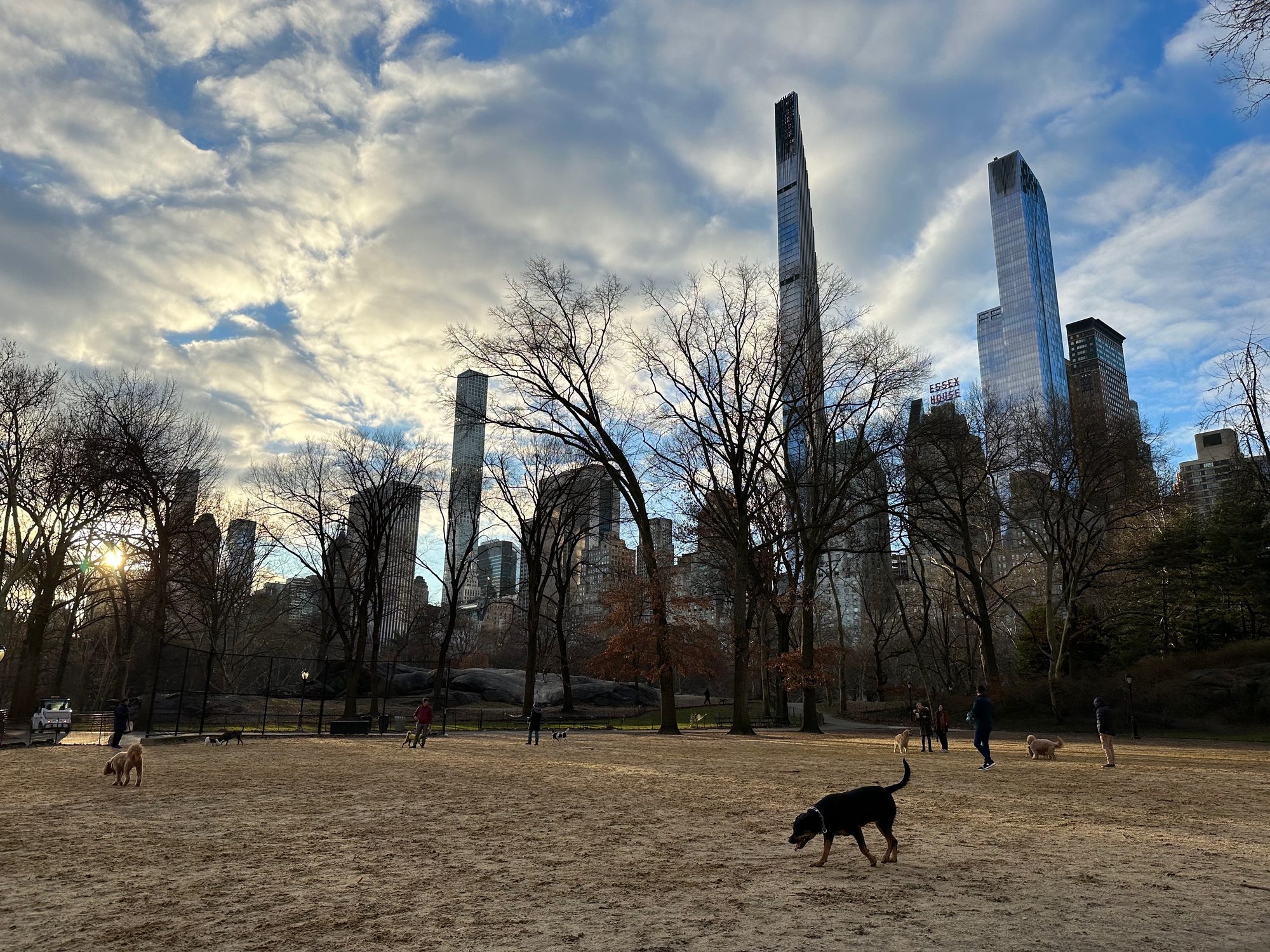Central Park scene