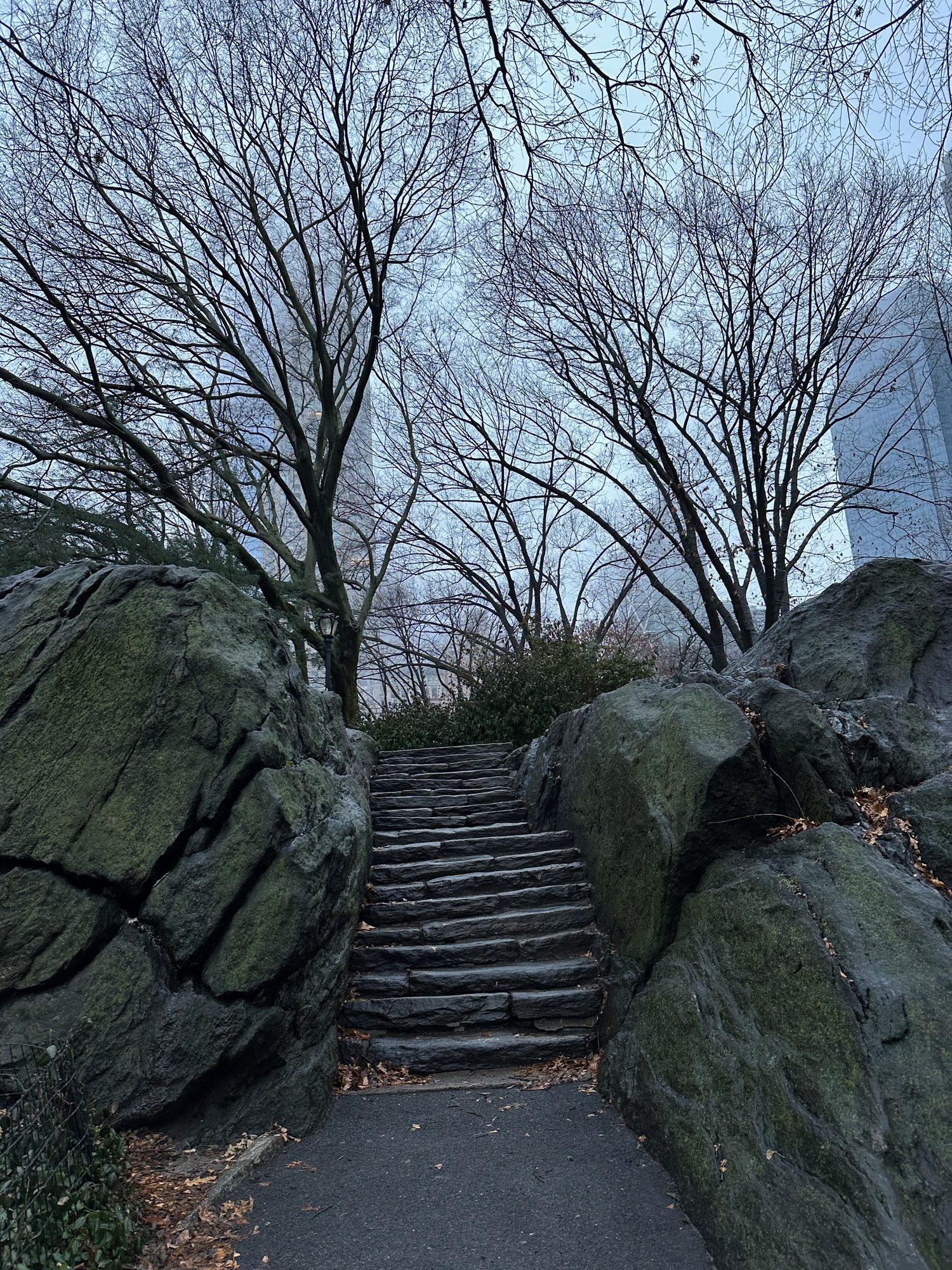 Central Park scene