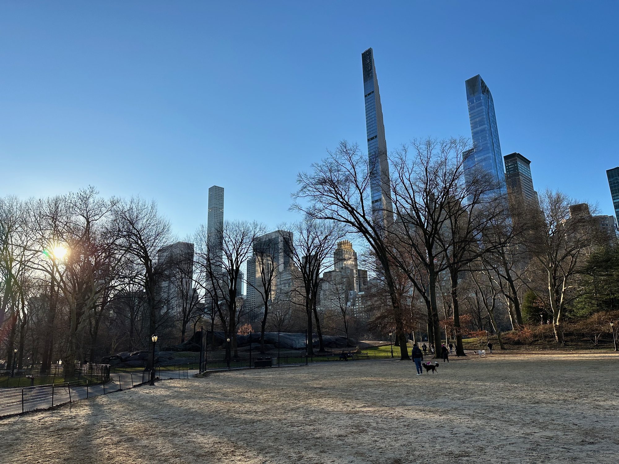 Central Park scene