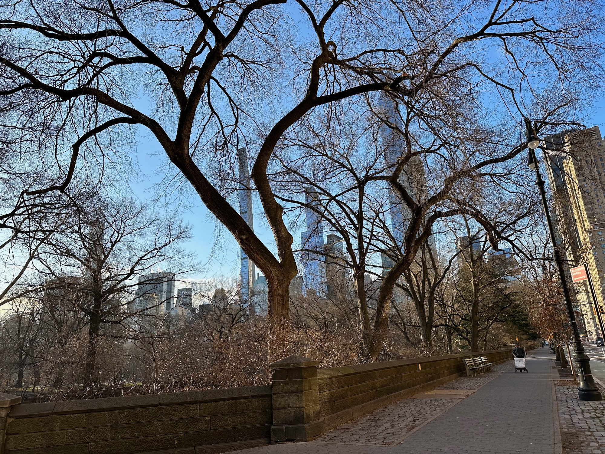 Central Park scene
