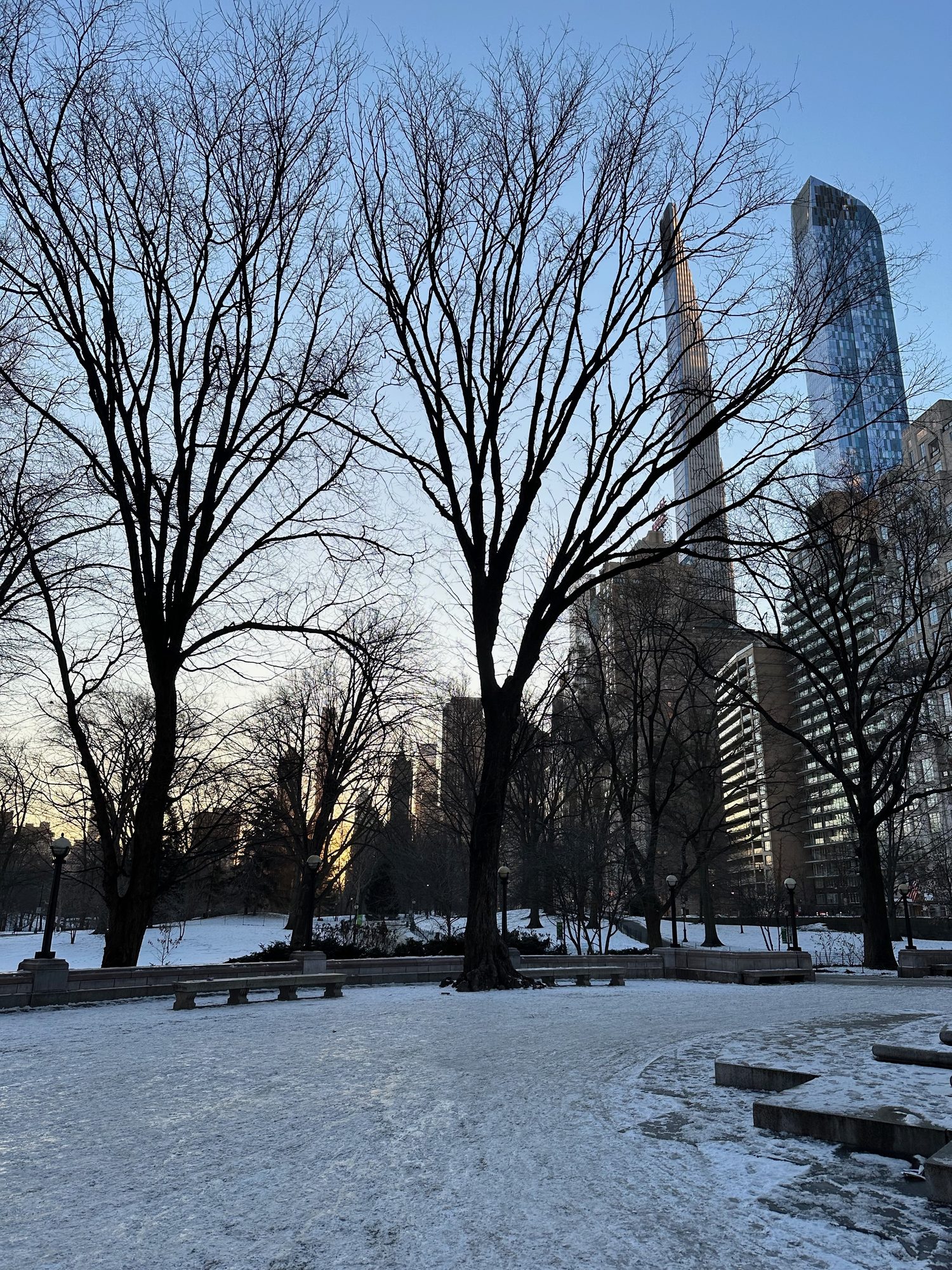 Central Park scene