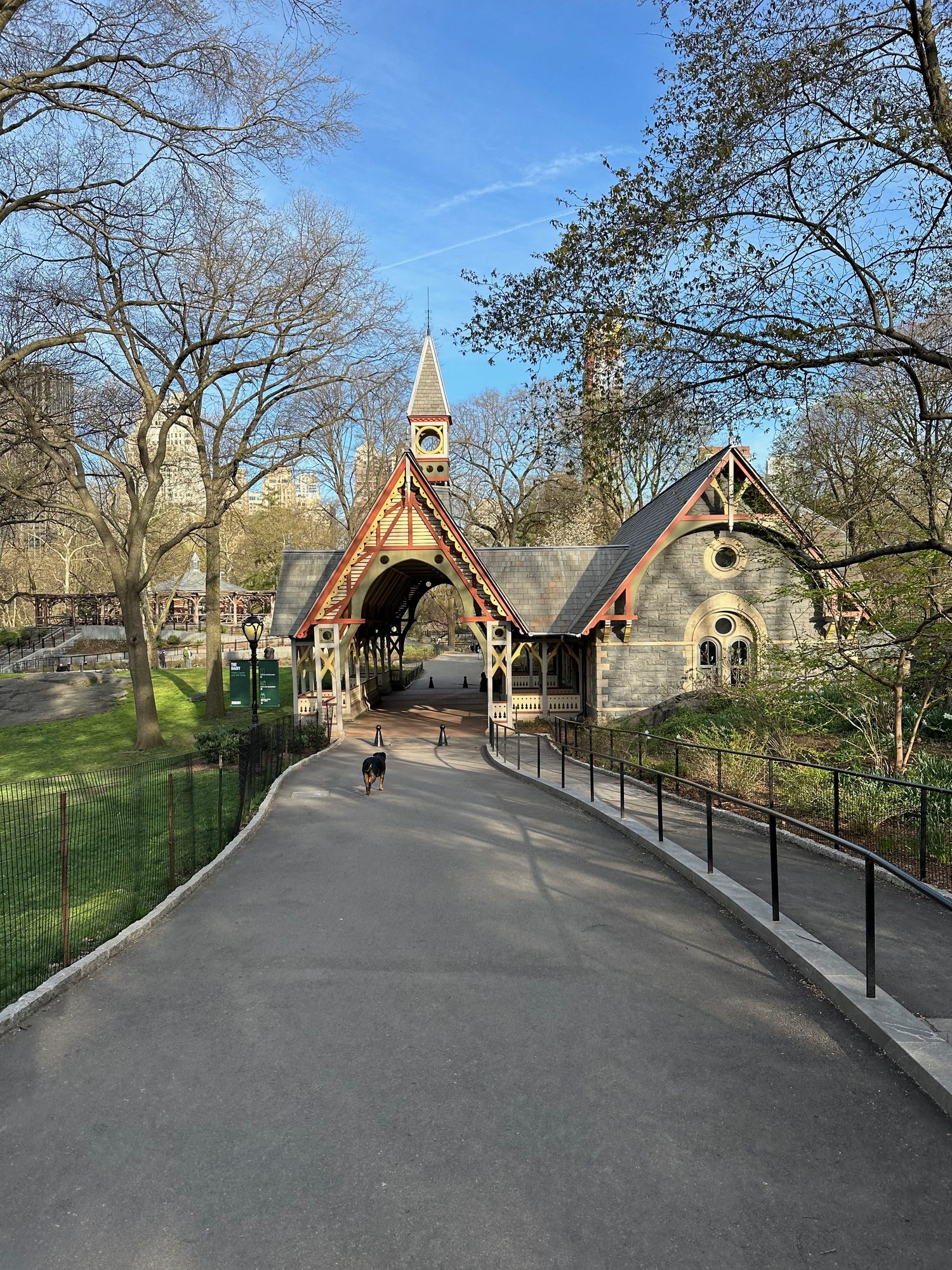 Central Park scene