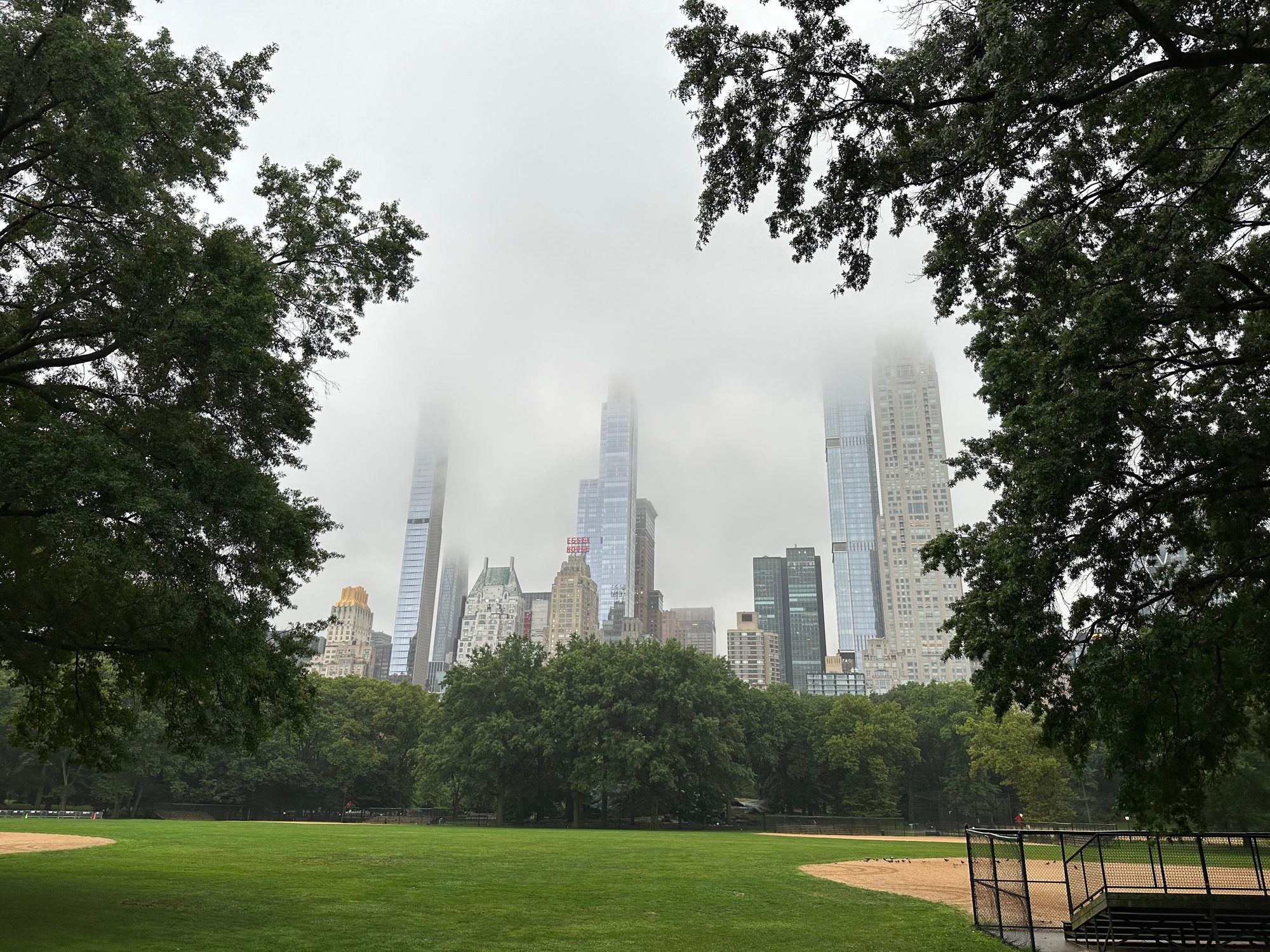 Central Park scene