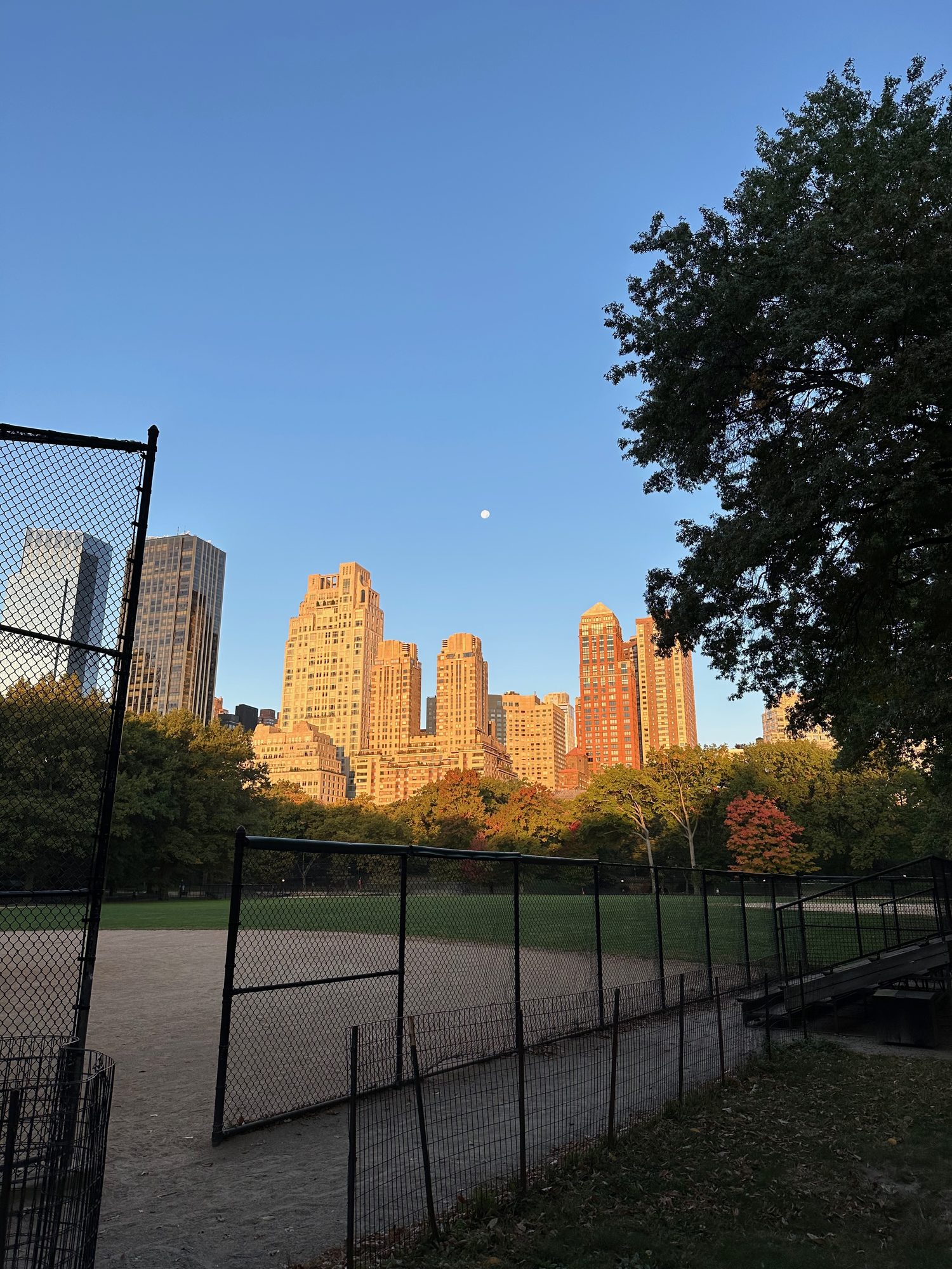 Central Park scene