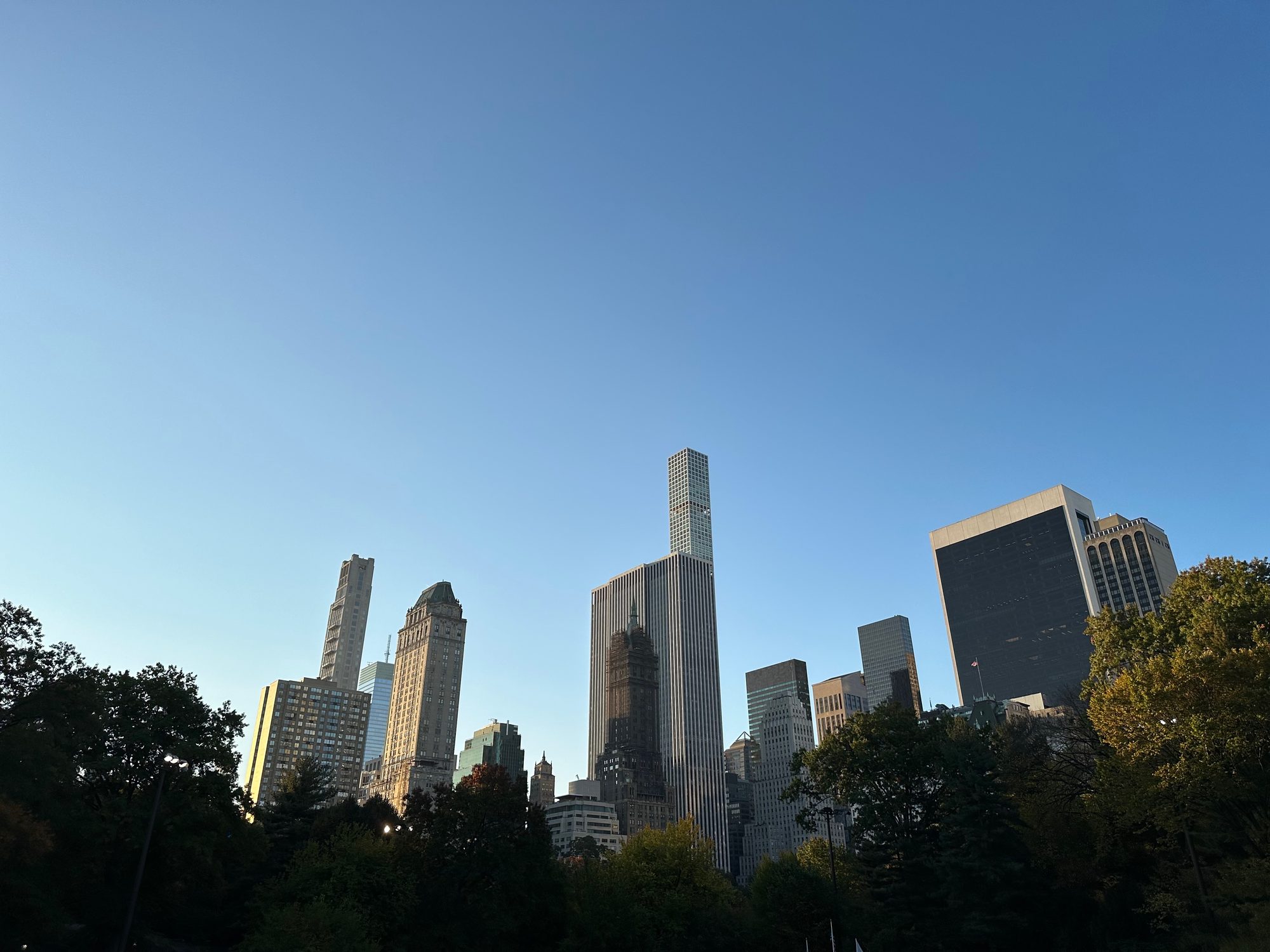 Aerial view of Central Park in New York City with green trees, grassy fields, a lake, and the city skyline in the background.