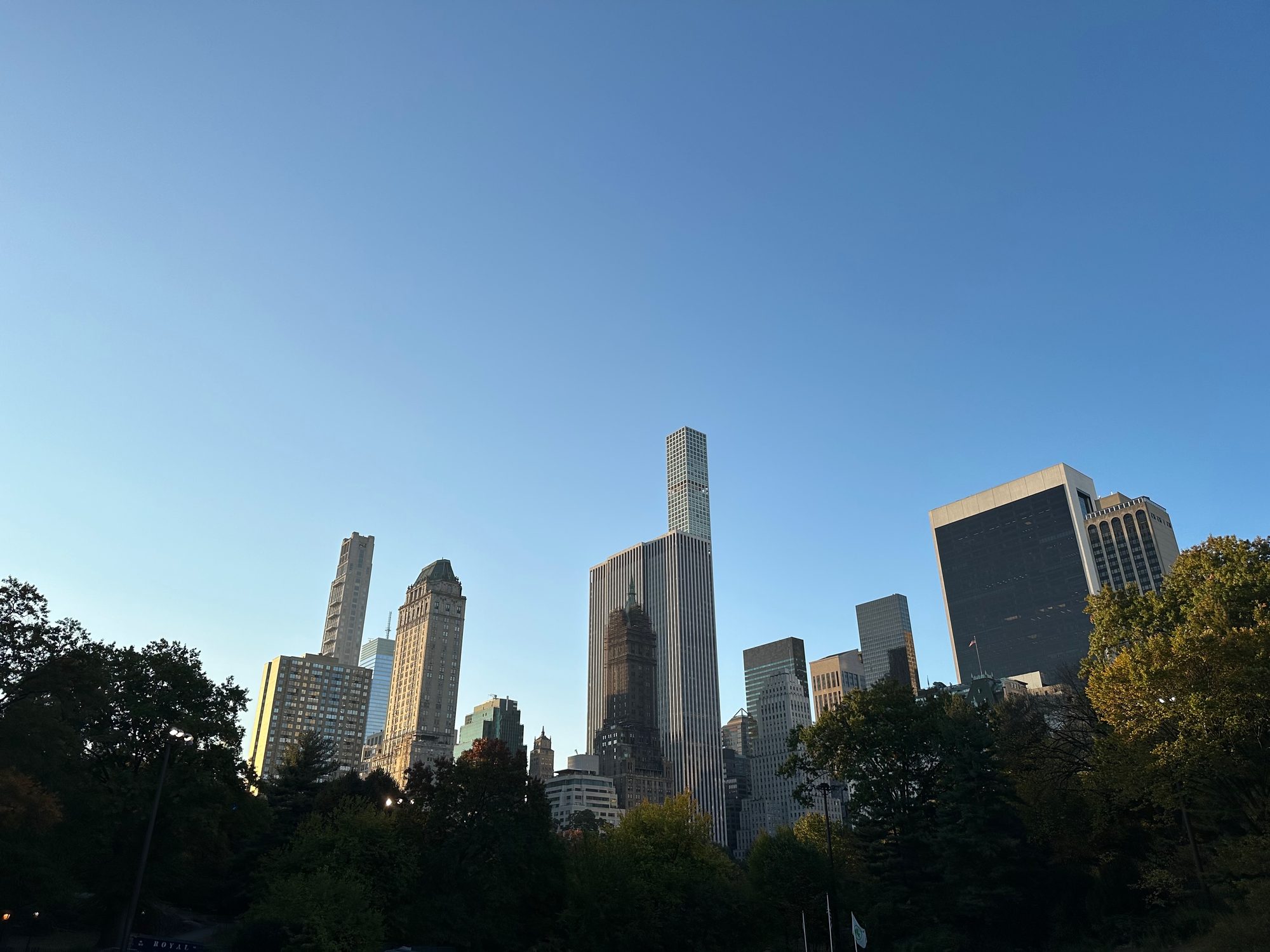 Central Park scene
