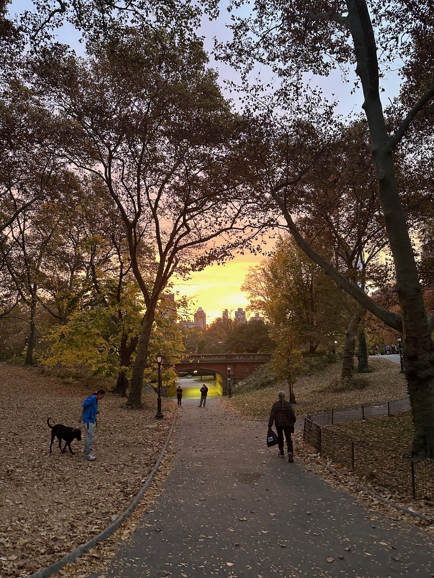 Central Park scene