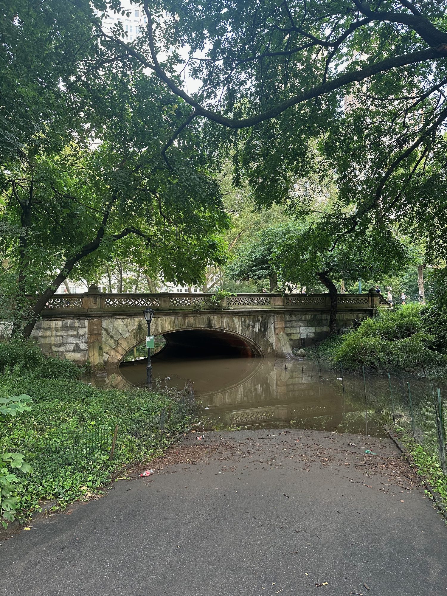Central Park scene