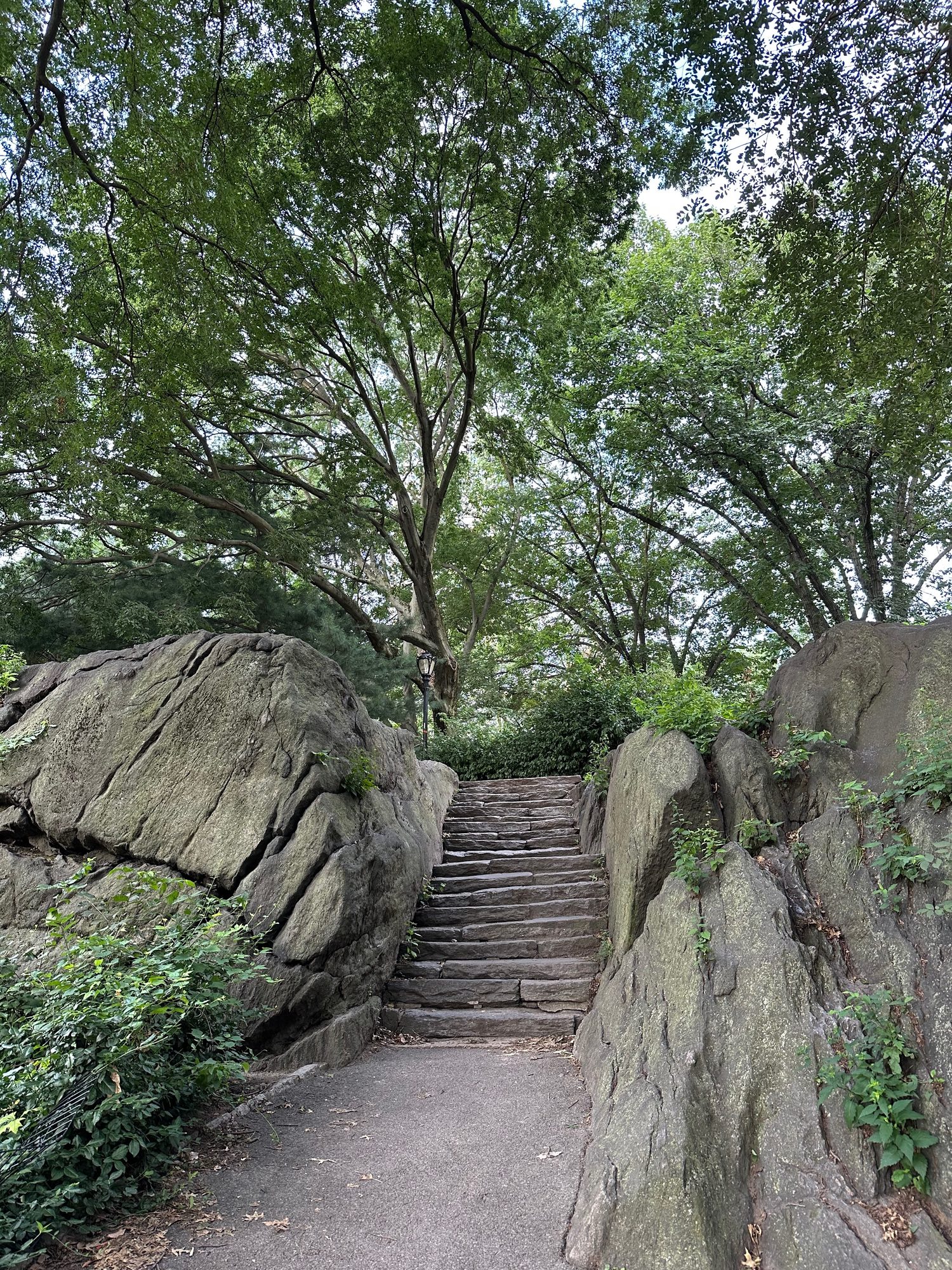 Central Park scene