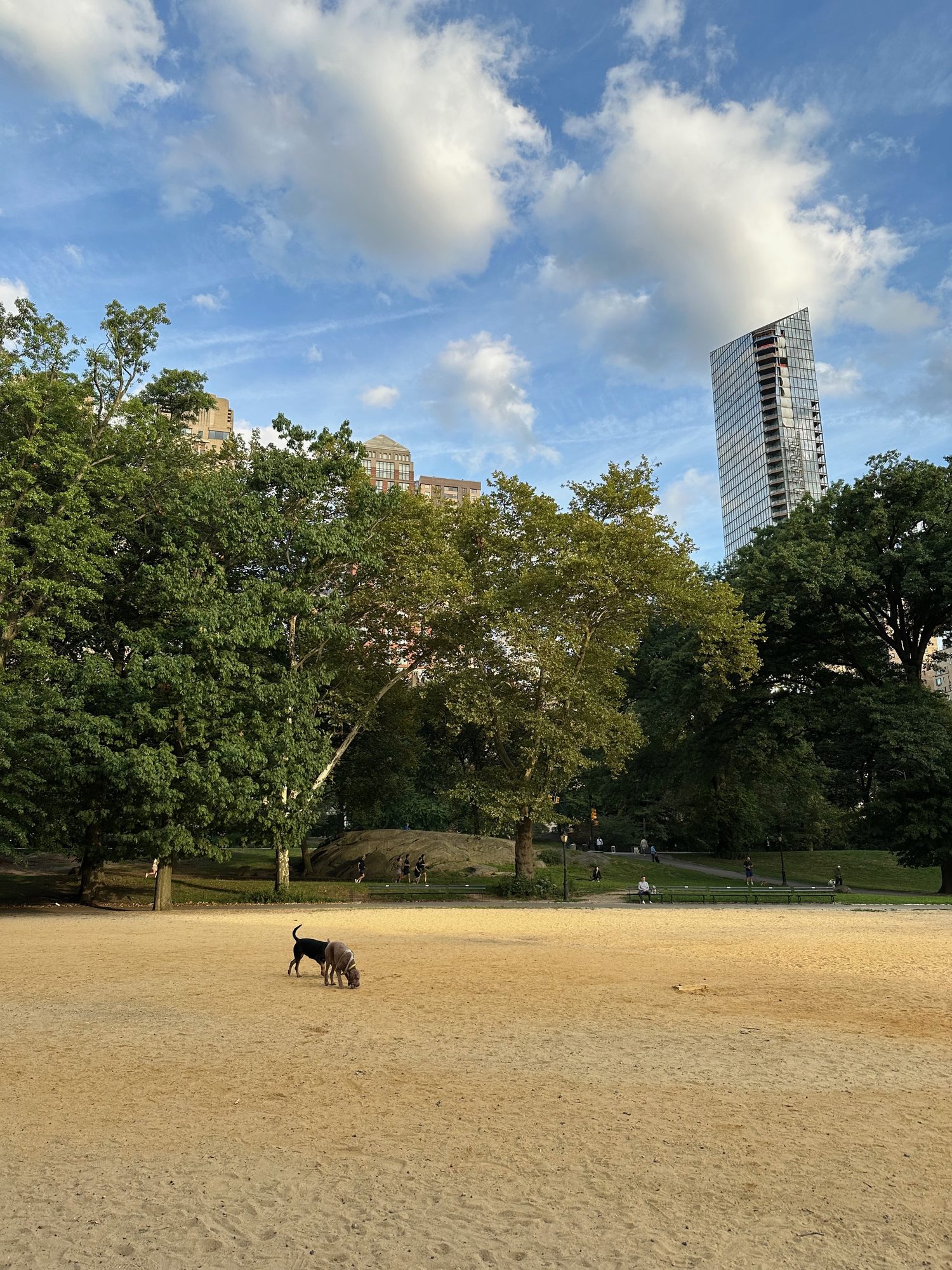 Central Park scene