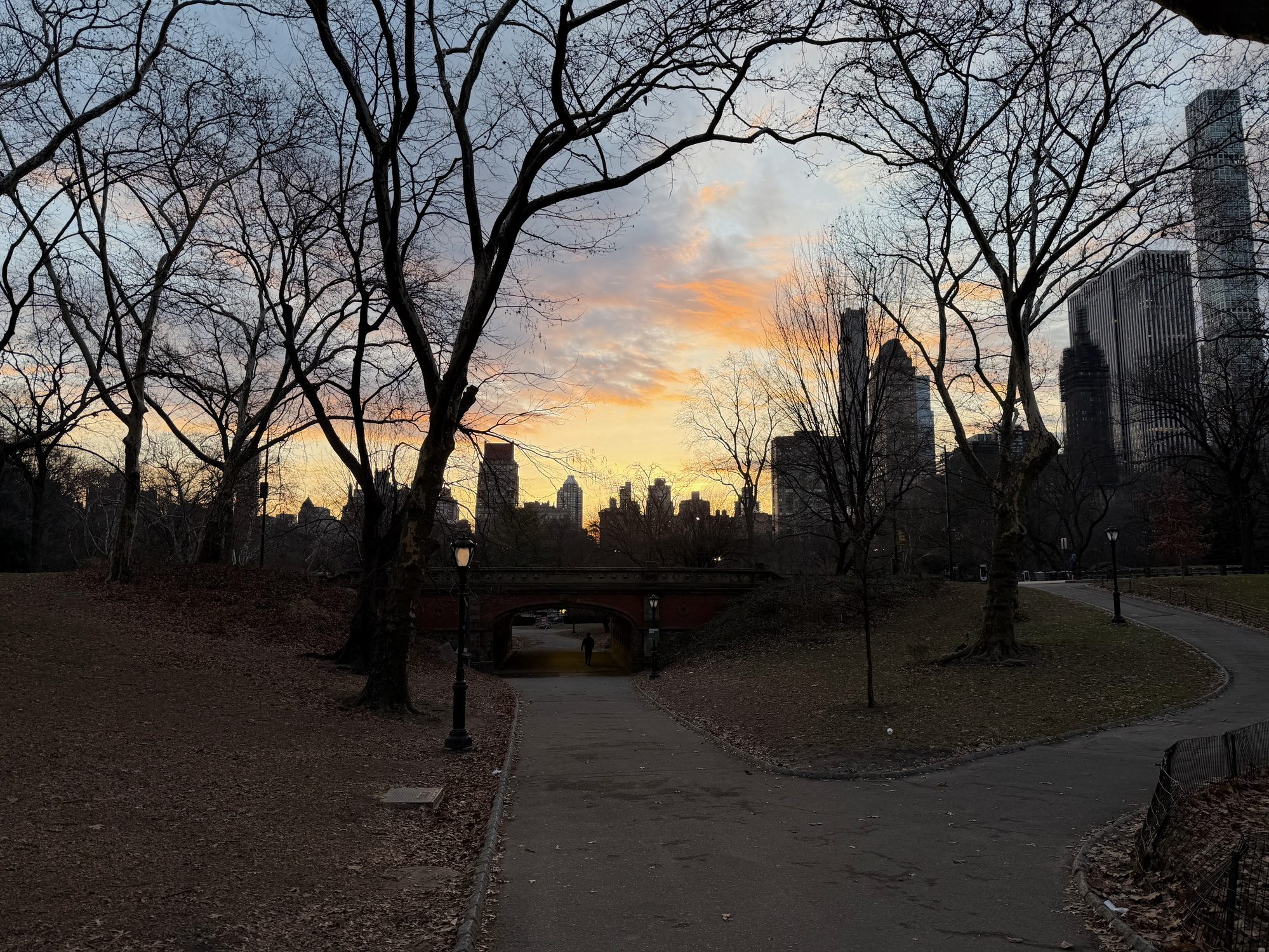 Central Park scene