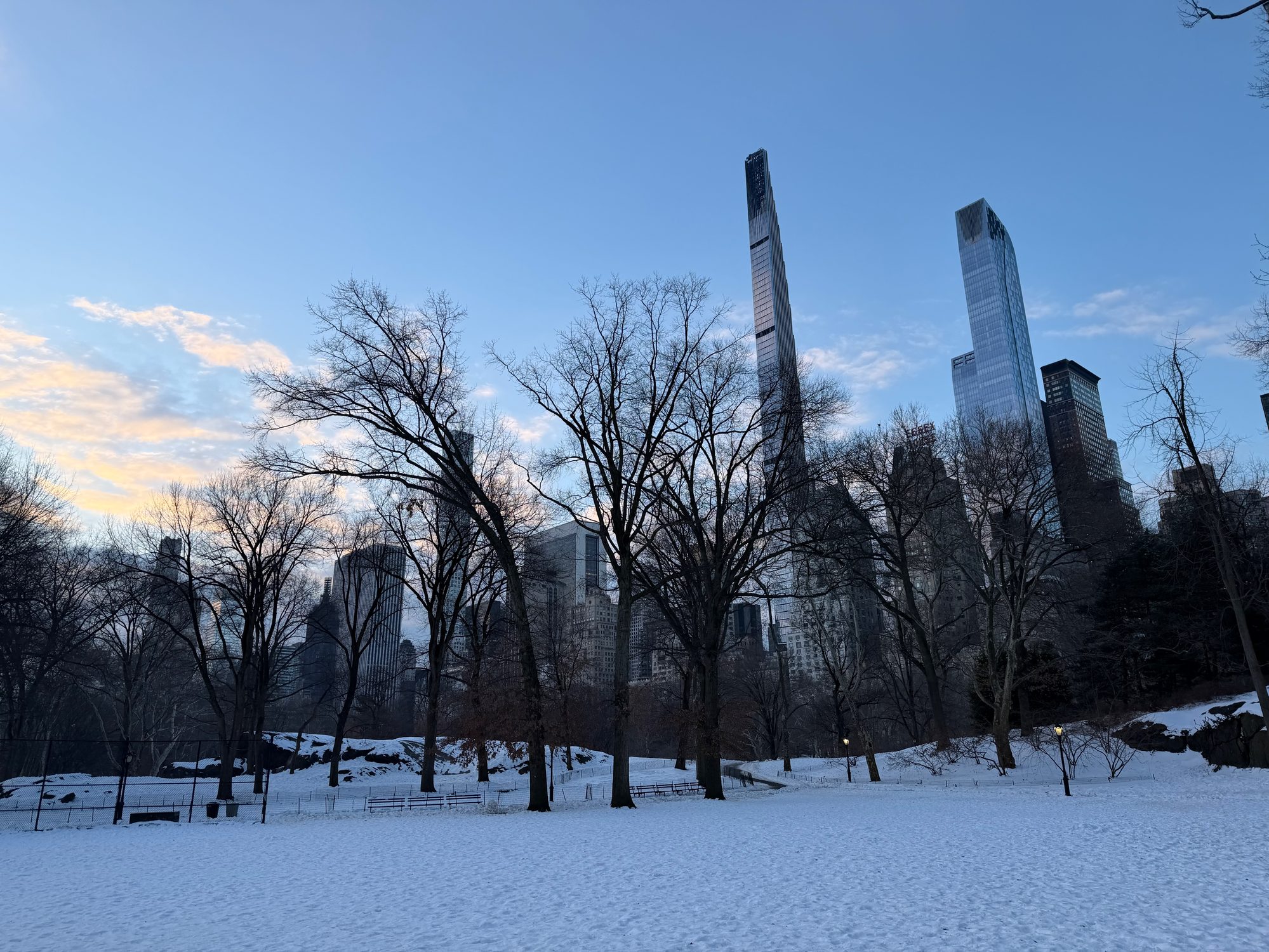 Central Park scene