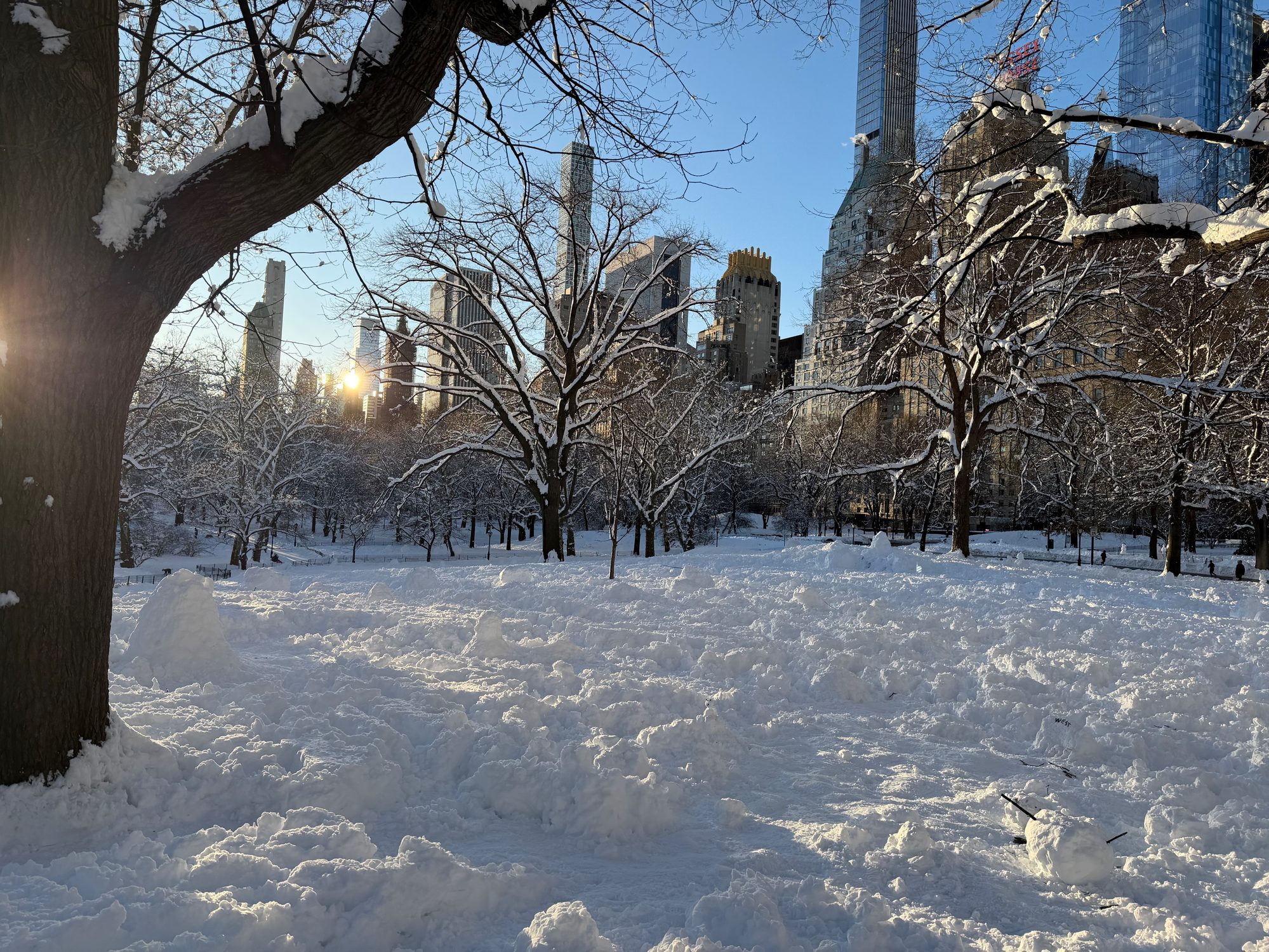 Central Park scene