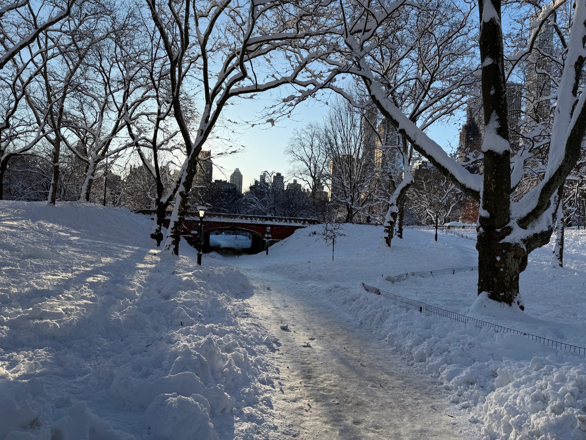 Central Park scene