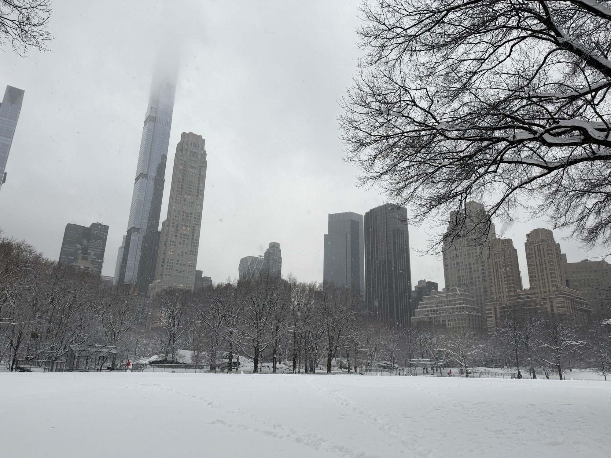 Central Park scene