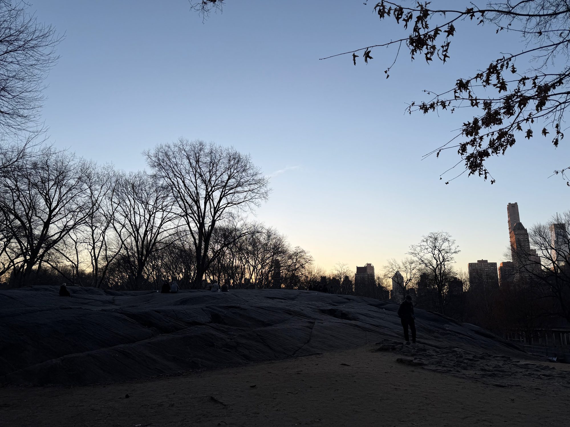 Central Park scene