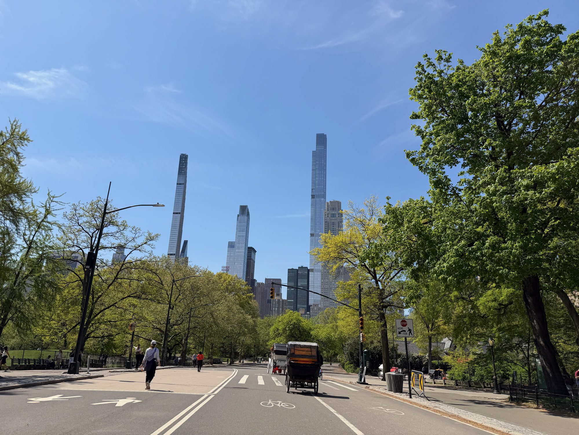 Central Park scene