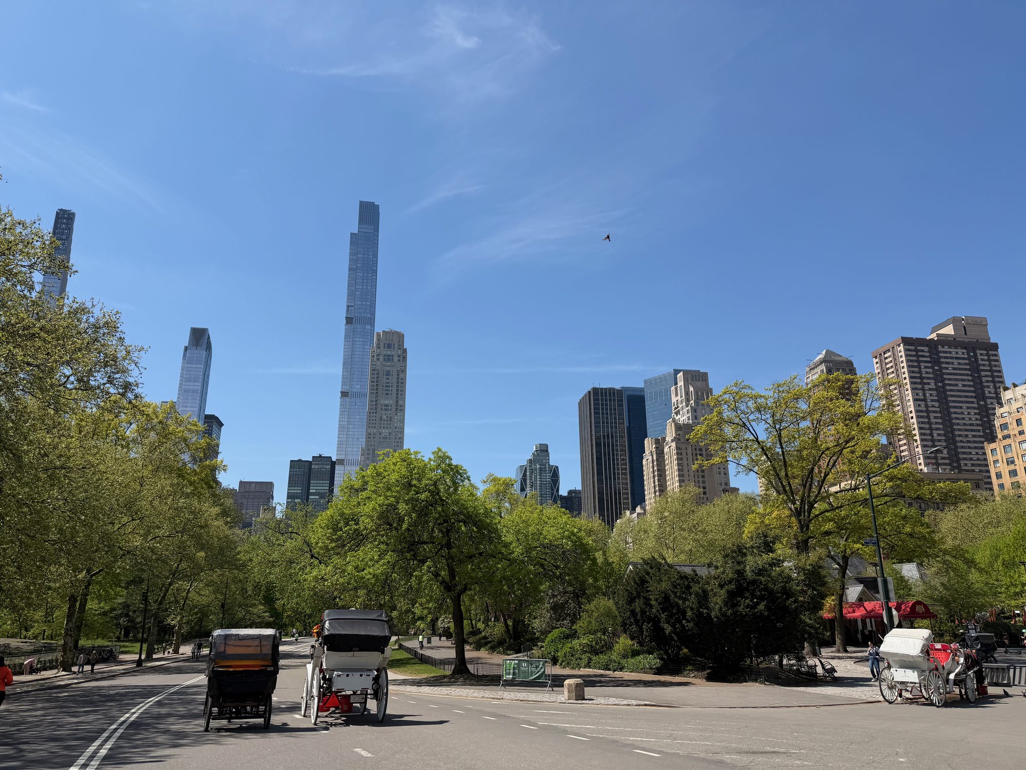 Central Park grassy area with people scattered around and colorful autumn trees with city buildings in the background under a clear sky.