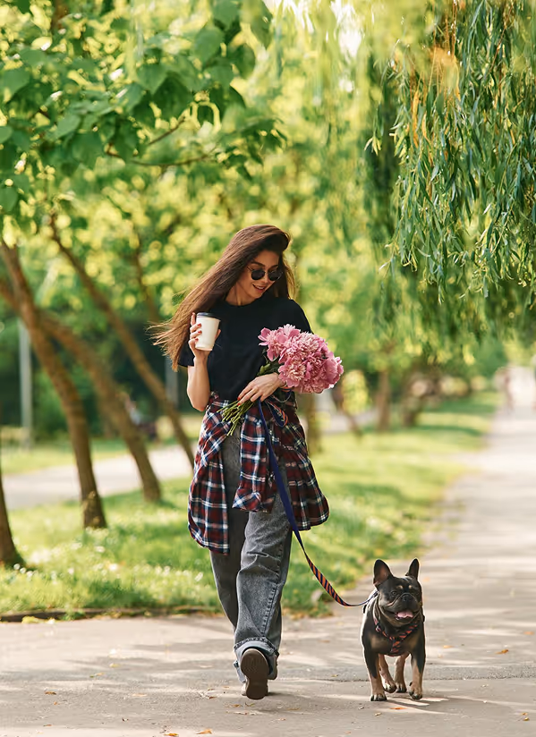 Woman walking French bulldog in the park